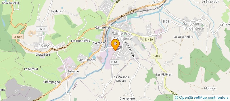 localisation de l'entreprise CMS INDUSTRIE à SAINTE-FOY-L'ARGENTIERE