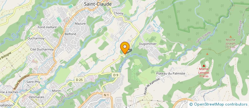 localisation de l'entreprise CMSV PEYNIER à SAINT-CLAUDE
