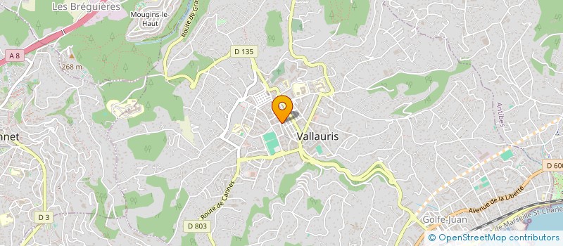 localisation de l'entreprise CO PROPRIETE 38 AV G CLEMENCEAU  VALLAURIS