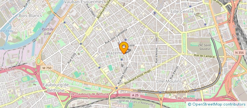 localisation de l'entreprise COBALT à LILLE