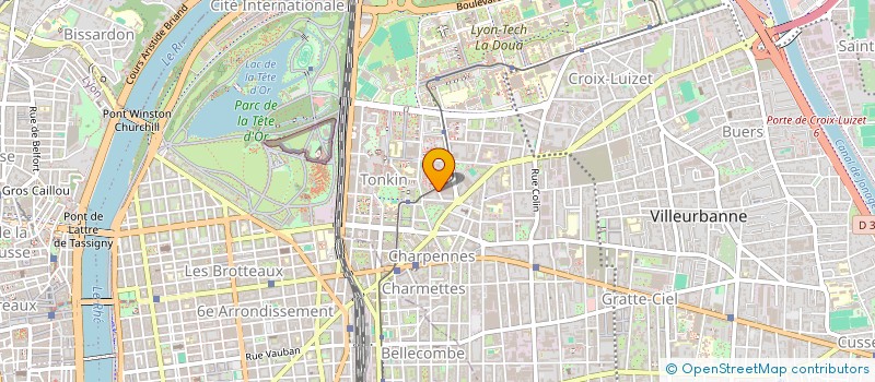 localisation de l'entreprise COBRAS SECURITE PRIVE  VILLEURBANNE