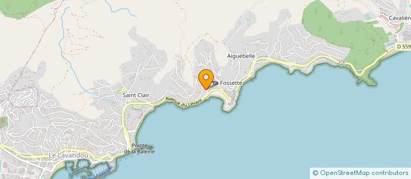 localisation de l'entreprise COCO BEACH à LE LAVANDOU