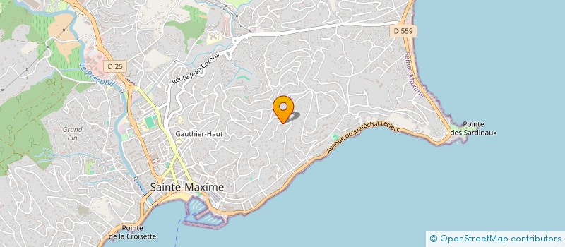 localisation de l'entreprise COCODIS à SAINTE-MAXIME