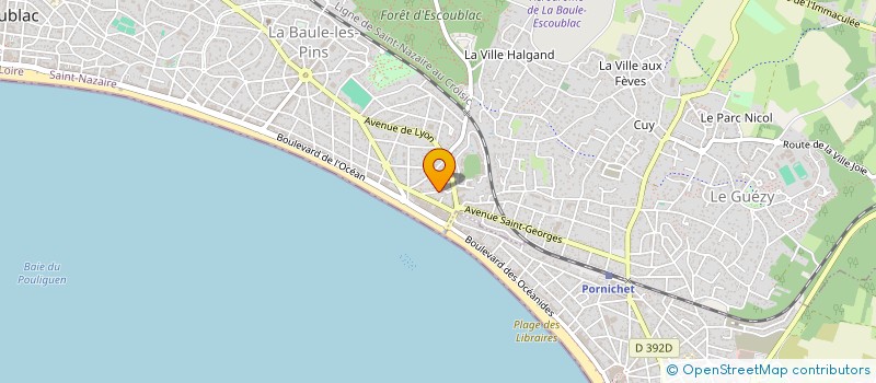 localisation de l'entreprise COEUR DE LOULOU MEDIATION ANIMALE à LA BAULE-ESCOUBLAC