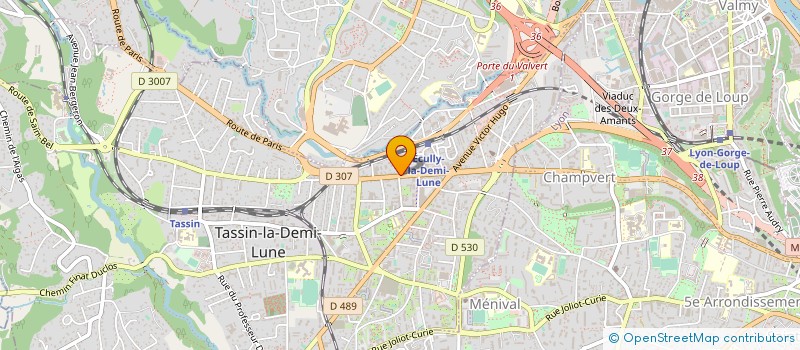 localisation de l'entreprise COGERIM  TASSIN-LA-DEMI-LUNE