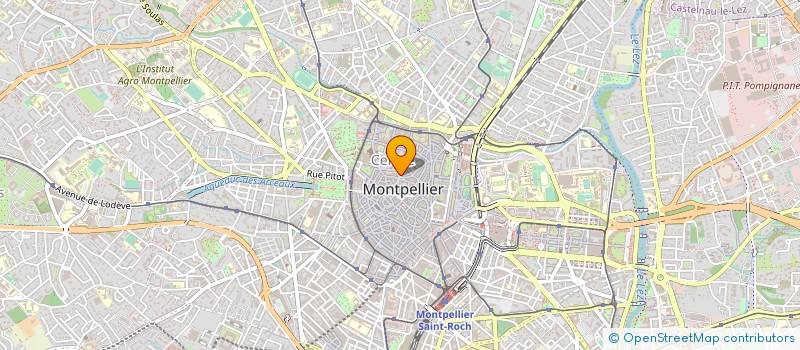 localisation de l'entreprise COGNET TAURINYA à MONTPELLIER
