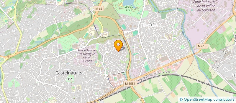 localisation de l'entreprise COGNEXUS  CASTELNAU-LE-LEZ
