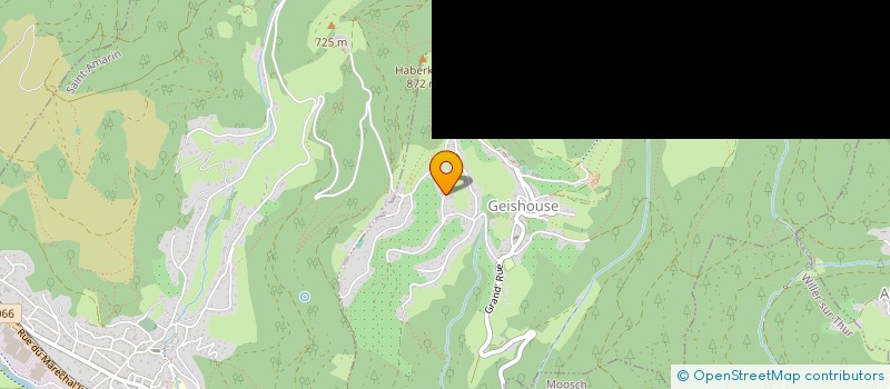 localisation de l'entreprise COGNITIO  GEISHOUSE