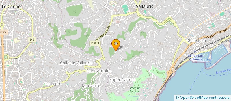 localisation de l'entreprise COINMERCE SAS à VALLAURIS