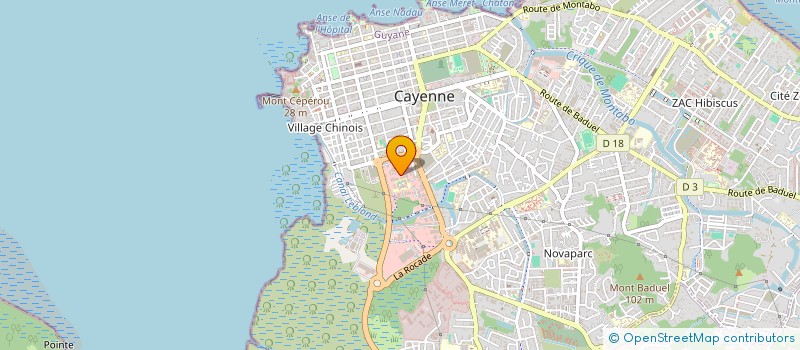 localisation de l'entreprise COLE  CAYENNE