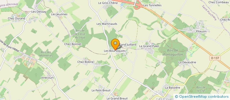 localisation de l'entreprise COLIBRIS TAPAGEURS  SAINT-PORCHAIRE