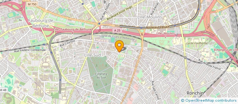 localisation de l'entreprise COLLECTIF DELIT 2 FUITE à LILLE