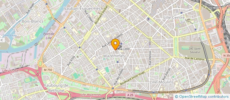 localisation de l'entreprise COLLECTIF INSOMNIE à LILLE
