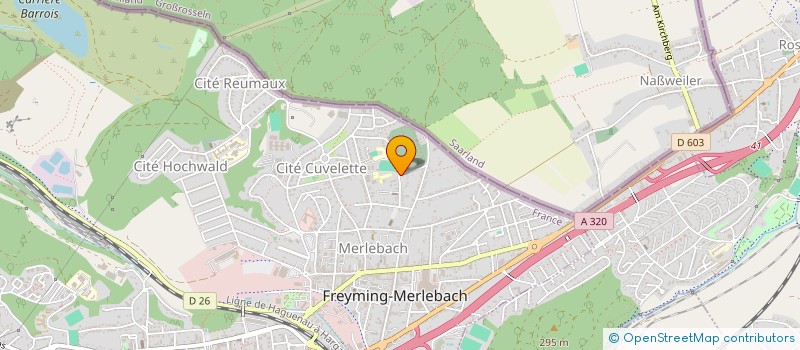 localisation de l'entreprise COLLEGE CLAUDIE HAIGNERE  FREYMING-MERLEBACH