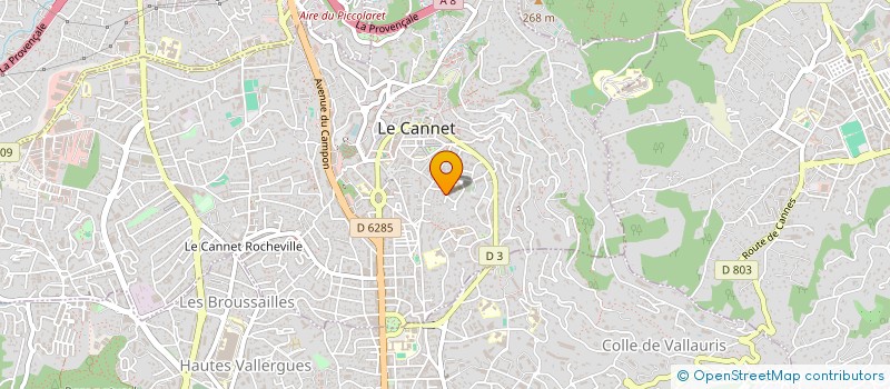 localisation de l'entreprise COLLEGE DEPARTEMENTAL EMILE ROUX à LE CANNET