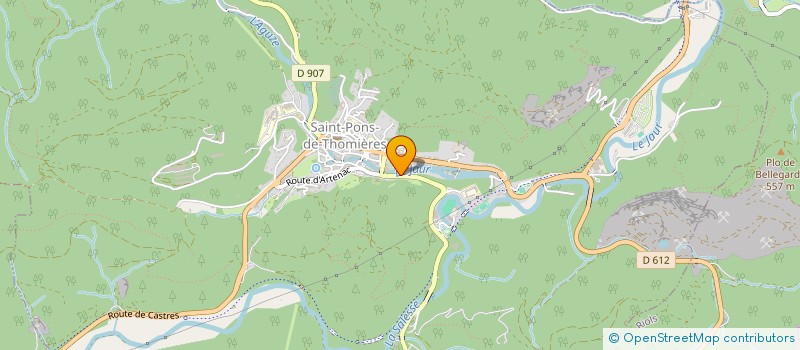 localisation de l'entreprise COLLEGE DU JAUR  SAINT-PONS-DE-THOMIERES