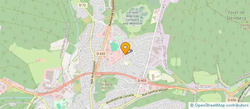 localisation de l'entreprise COLLEGE JEAN DE LA FONTAINE  SAINT-AVOLD