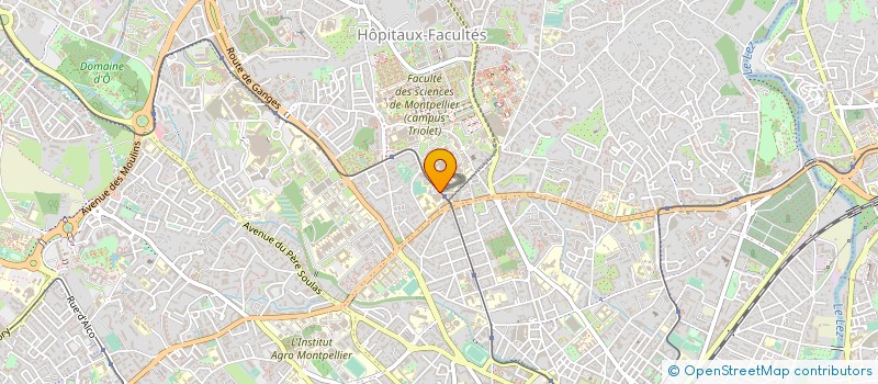 localisation de l'entreprise COLLEGE JEU DE MAIL à MONTPELLIER