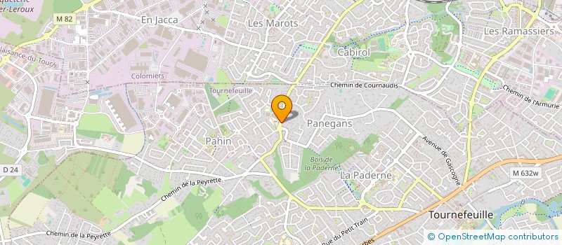 localisation de l'entreprise COLLEGE LEONARD DE VINCI  TOURNEFEUILLE