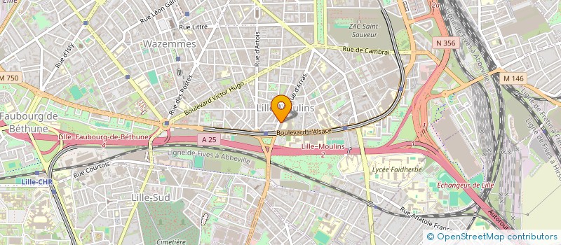 localisation de l'entreprise COLLEGE MIRIAM MAKEBA  LILLE