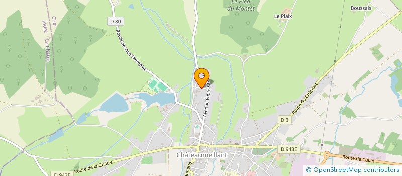 localisation de l'entreprise COLLEGE MULTISITES LE CHATELET-CHATEAUMEILLANT  CHATEAUMEILLANT