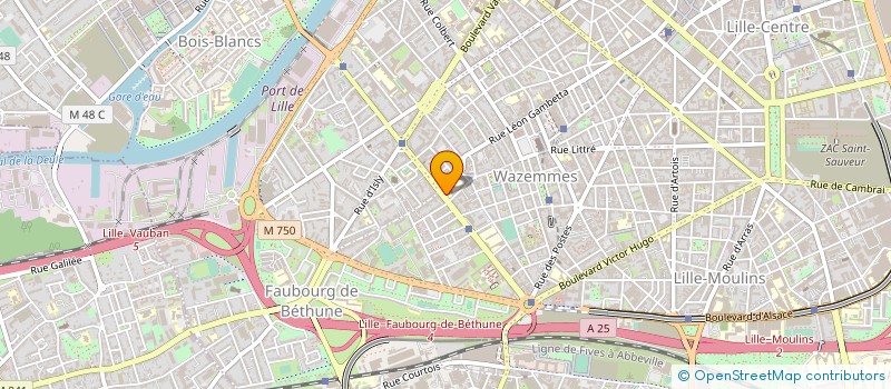 localisation de l'entreprise COLLEGE NINA SIMONE à LILLE