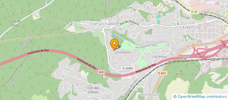 localisation de l'entreprise COLLEGE ROBERT SCHUMAN  HOMBOURG-HAUT