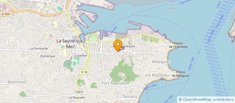 localisation de l'entreprise COLLINES DES TAMARIS BAT 1 ET 2 BOXES 06 à LA SEYNE-SUR-MER