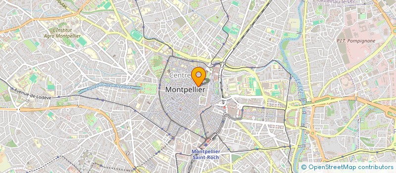 localisation de l'entreprise COLOR BEARZ  MONTPELLIER