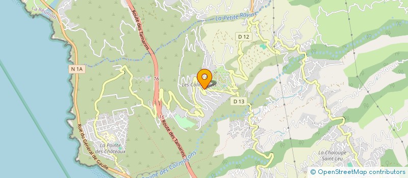 localisation de l'entreprise COLOR DISTRIBUTION  SAINT-LEU