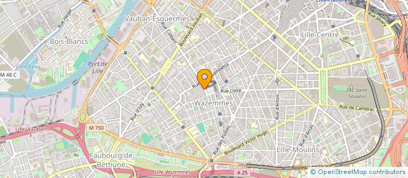 localisation de l'entreprise COLORES LATINO AMERICANOS à LILLE