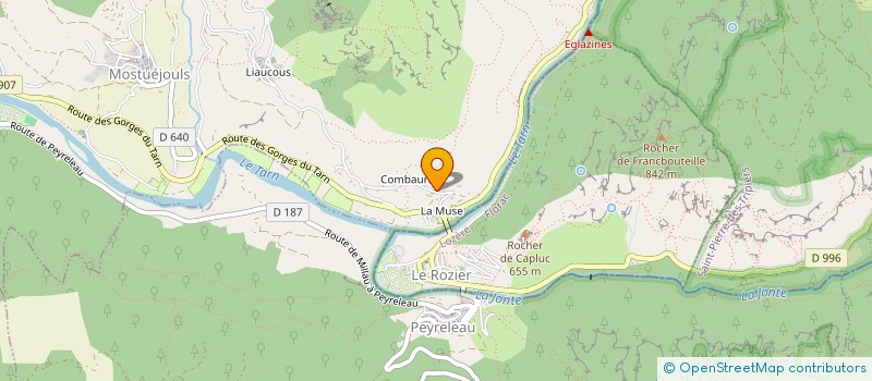 localisation de l'entreprise COMBO SERVICES  MOSTUEJOULS