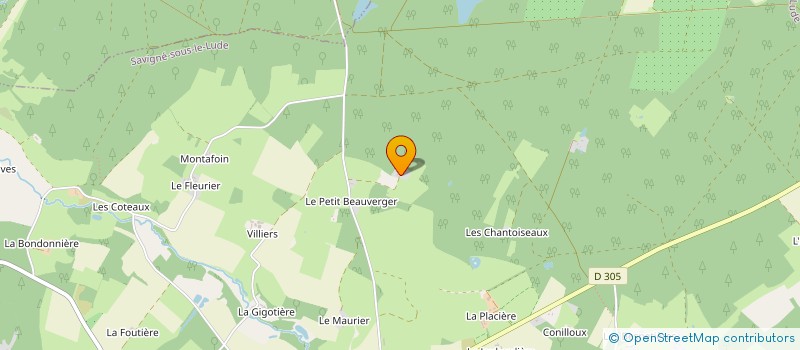 localisation de l'entreprise COMICE AGRICOLE SAVIGNEEN 2024  SAVIGNE-SOUS-LE-LUDE