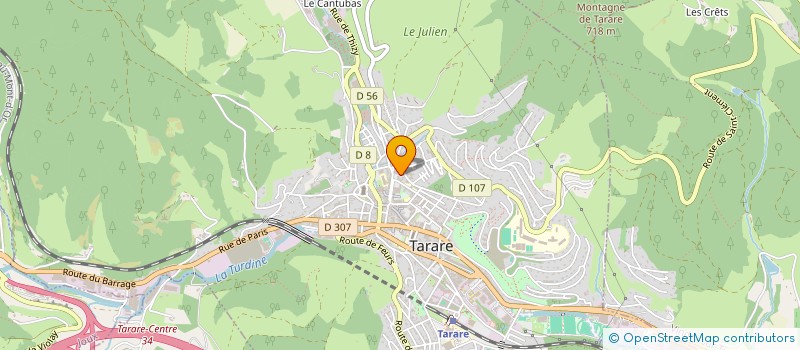 localisation de l'entreprise COMITE ANIMATION CTRES SOCIAUX DE TARARE à TARARE