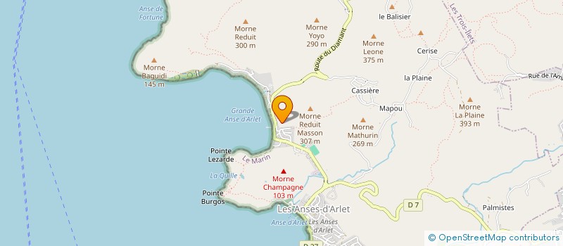 localisation de l'entreprise COMITE CARNAVAL ARLESIEN ET ARTS ASSOCIES  LES ANSES-D'ARLET