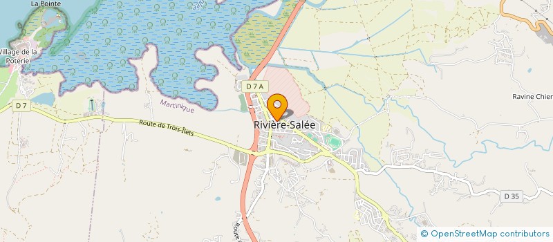 localisation de l'entreprise COMITE CARNAVAL SALEEN  RIVIERE-SALEE