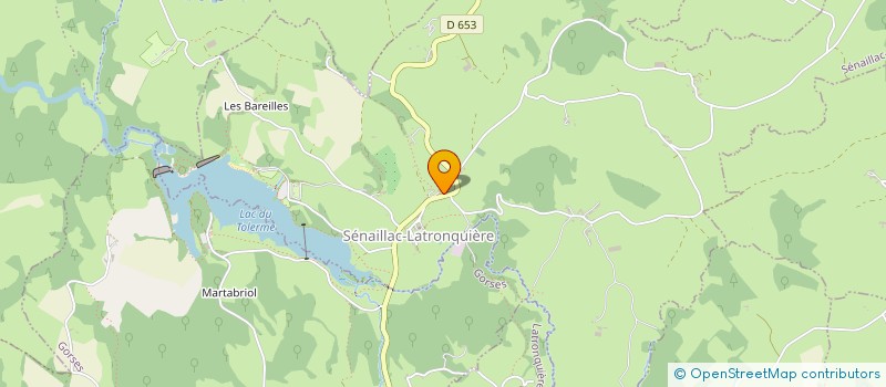 localisation de l'entreprise COMITE D'ANIMATION DE MONTET ET BOUXAL  MONTET-ET-BOUXAL