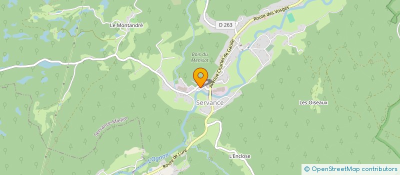 localisation de l'entreprise COMITE D'ENTRAIDE  SERVANCE-MIELLIN