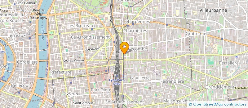 localisation de l'entreprise COMITE D'INTERET LOCAL BELLECOMBE à LYON