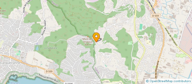 localisation de l'entreprise COMITE D'INTERET LOCAL DU MONT DES OISEAUX SITUE DANS LE VAR SUR LES COMMUNES DE HYERES ET DE CARQUEIRANNE à HYERES