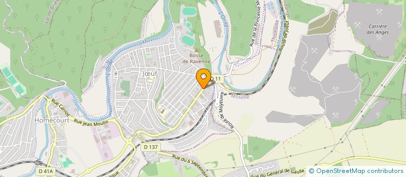 localisation de l'entreprise COMITE D'ORGANISATION DES INTERRACTIVITES NUMERIQUES 54  JUF