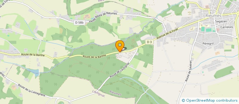 localisation de l'entreprise COMITE D'ORGANISATION LOCAL RIEUMES 2026  RIEUMES