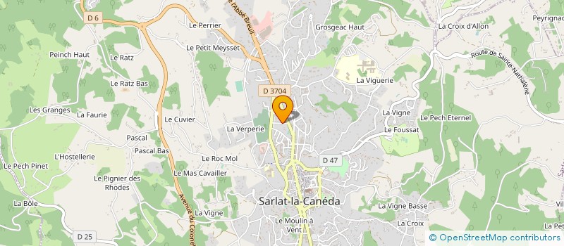 localisation de l'entreprise COMITE DE DEFENSE DE L HOPITAL PUBLIC ET DE LA MATERNITE DE SARLAT à SARLAT-LA-CANEDA