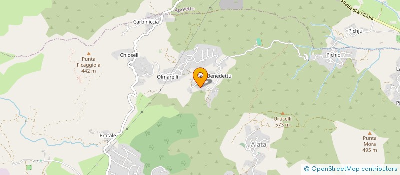 localisation de l'entreprise COMITE DE DEVELOPP DE LA VALLEE GRAVONA à PERI