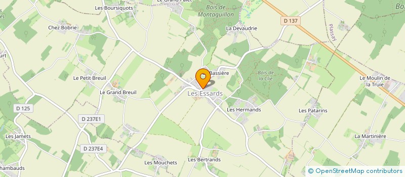 localisation de l'entreprise COMITE DE FLEURISSEMENT DE LA COMMUNE DE LES ESSARDS à LES ESSARDS