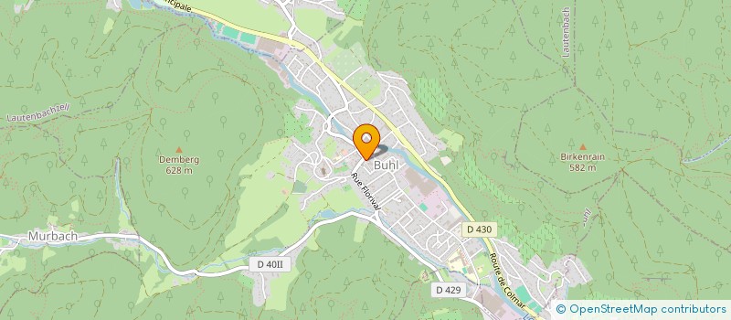 localisation de l'entreprise COMITE DE JUMELAGE DE BUHL  BUHL