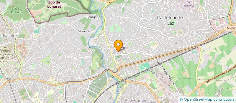 localisation de l'entreprise COMITE DE JUMELAGE DE CASTELNAU LE LEZ à CASTELNAU-LE-LEZ