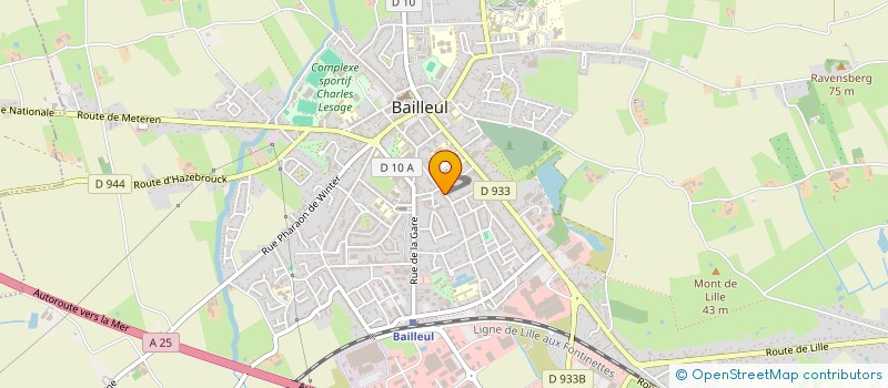 localisation de l'entreprise COMITE DE LA DUCASSE à BAILLEUL