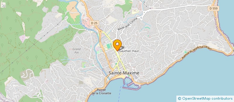 localisation de l'entreprise COMITE DE SAINTE-MAXIME - PLAN DE LA TOUR DE LA FEDERATION NATIONALE DES ANCIENS COMBATTANTS EN ALGERIE (F.N.A.C.A) à SAINTE-MAXIME