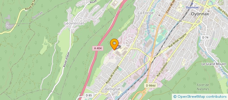 localisation de l'entreprise COMITE DE SANTE AU TRAVAIL REGION OYONNAX à BELLIGNAT